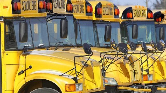 School buses 